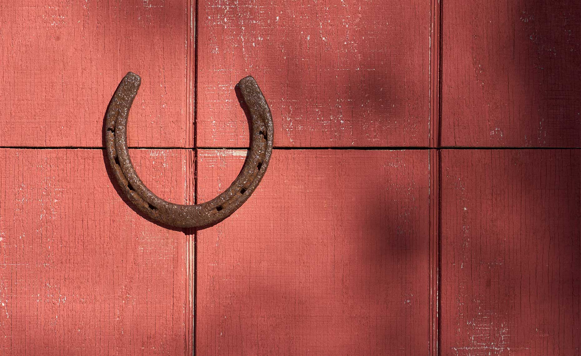 Old Shed Door with Horseshoe