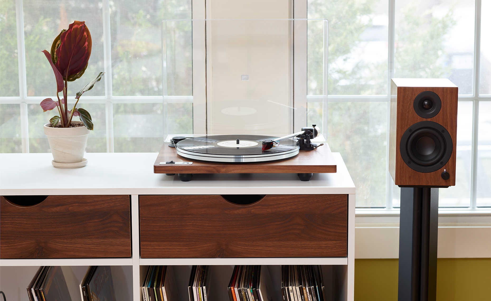 Audio Turntable in Living Room Shot-7-Walnut-straight-on-03_28_19_UTurn-7273-IP